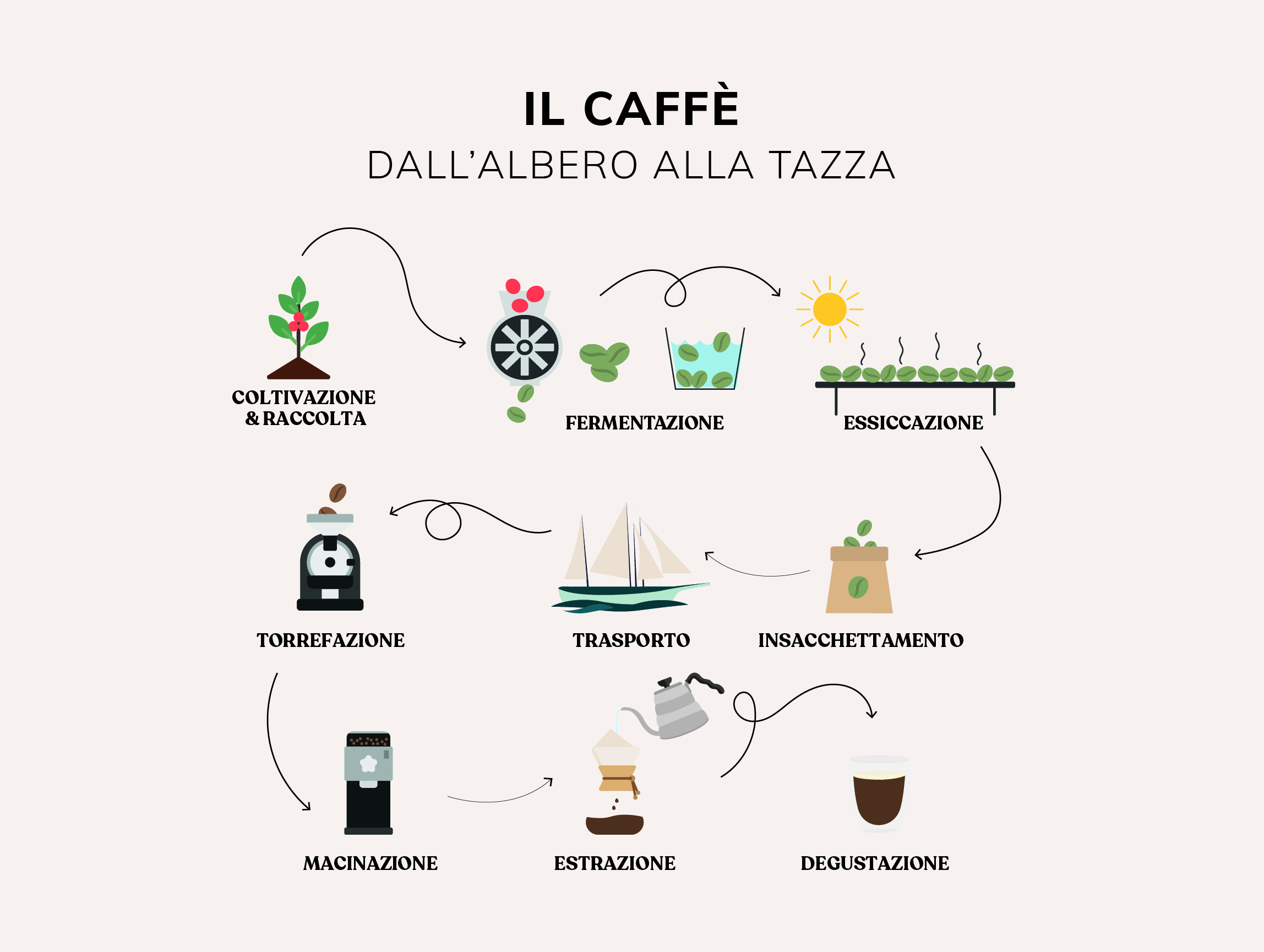 il caffè dell'albero alla tazza